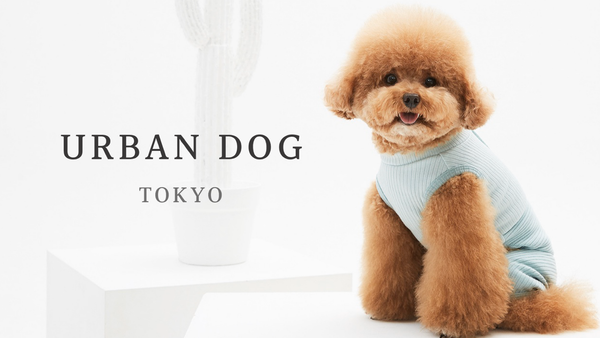 トイプードルなど小型犬サイズの犬服が豊富な通販 Urban Dog Tokyo ドッグウェアを着せた方が良い理由とは