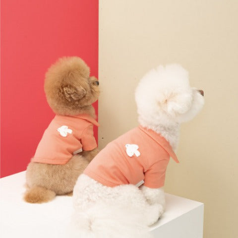 トイプードルのおしゃれ服 ドッグウェアを着せた方が良い理由とは 気温に合わせて着せやすいオーバーオールがおすすめ Urban Dog T Urban Dog Tokyo