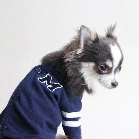 チワワのかわいい服は小さいものはアウト 着せやすいサイズや選び方とは Urban Dog Tokyo