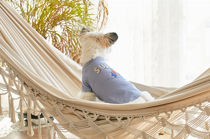 トイプードルのおしゃれ服 ドッグウェアを着せた方が良い理由とは 気温に合わせて着せやすいオーバーオールがおすすめ Urban Dog T Urban Dog Tokyo
