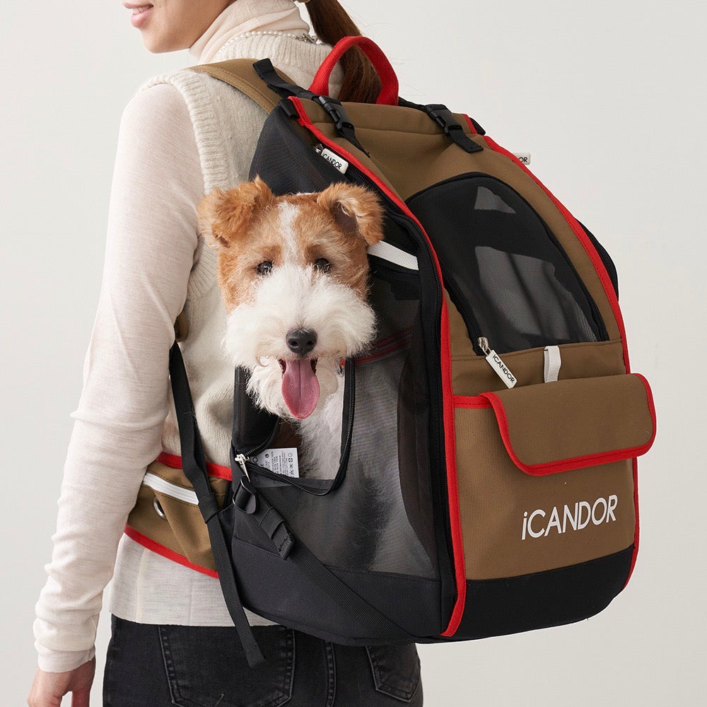 iCANDOR – URBAN DOG TOKYO