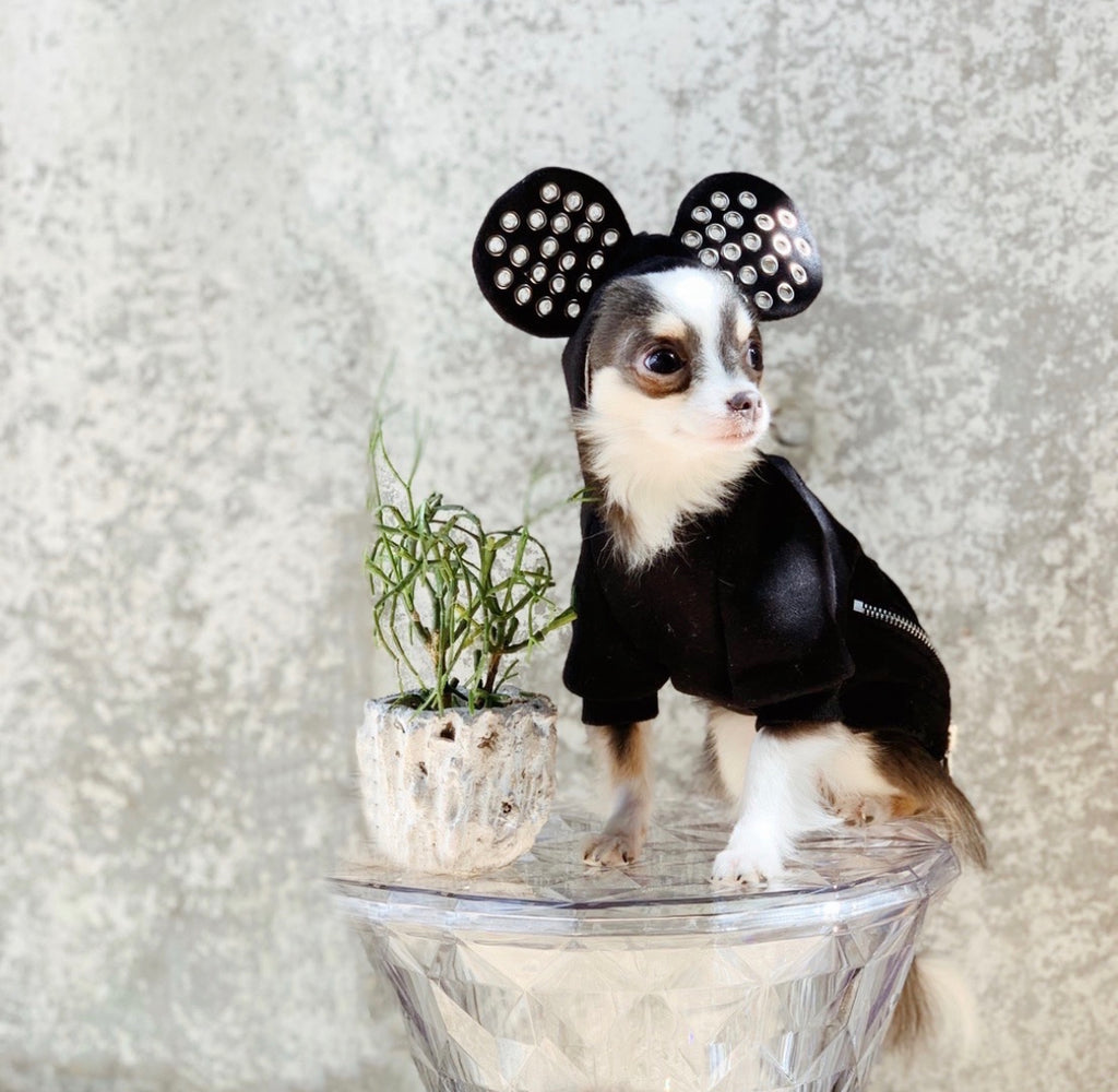 海外犬服 高品質なインポートのドッグウェア通販 Urban Dog Tokyo Max Bone ミッキーマウスフーディー