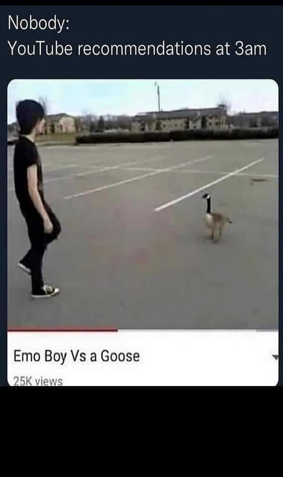 emo meme 22 emo boy versus a goose youtube