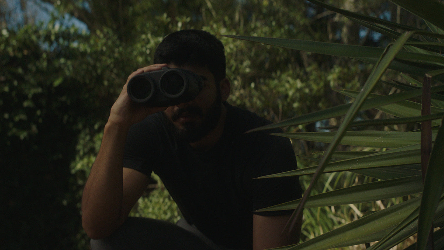 cinema lens for pl mount