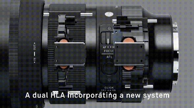 dual HLA systemm