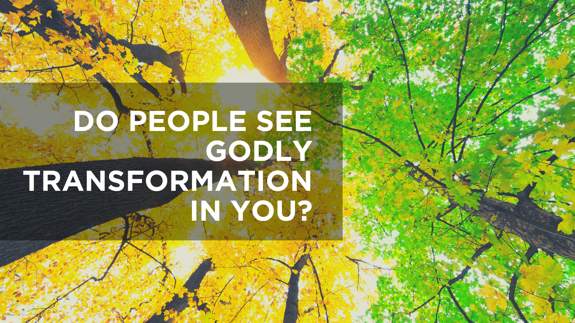 Do People See Godly Transformation in You?