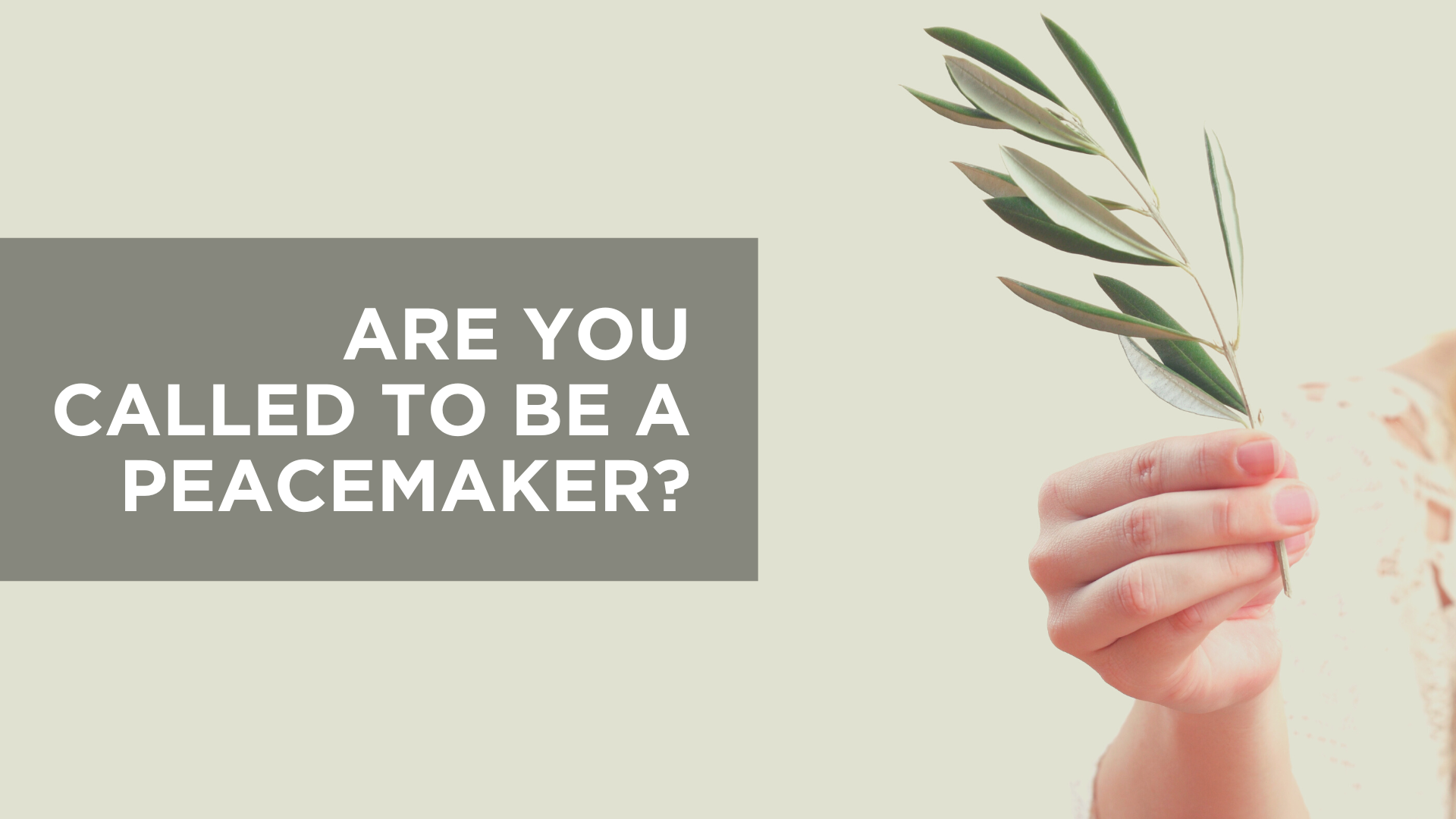 Are You Called to Be a Peacemaker?