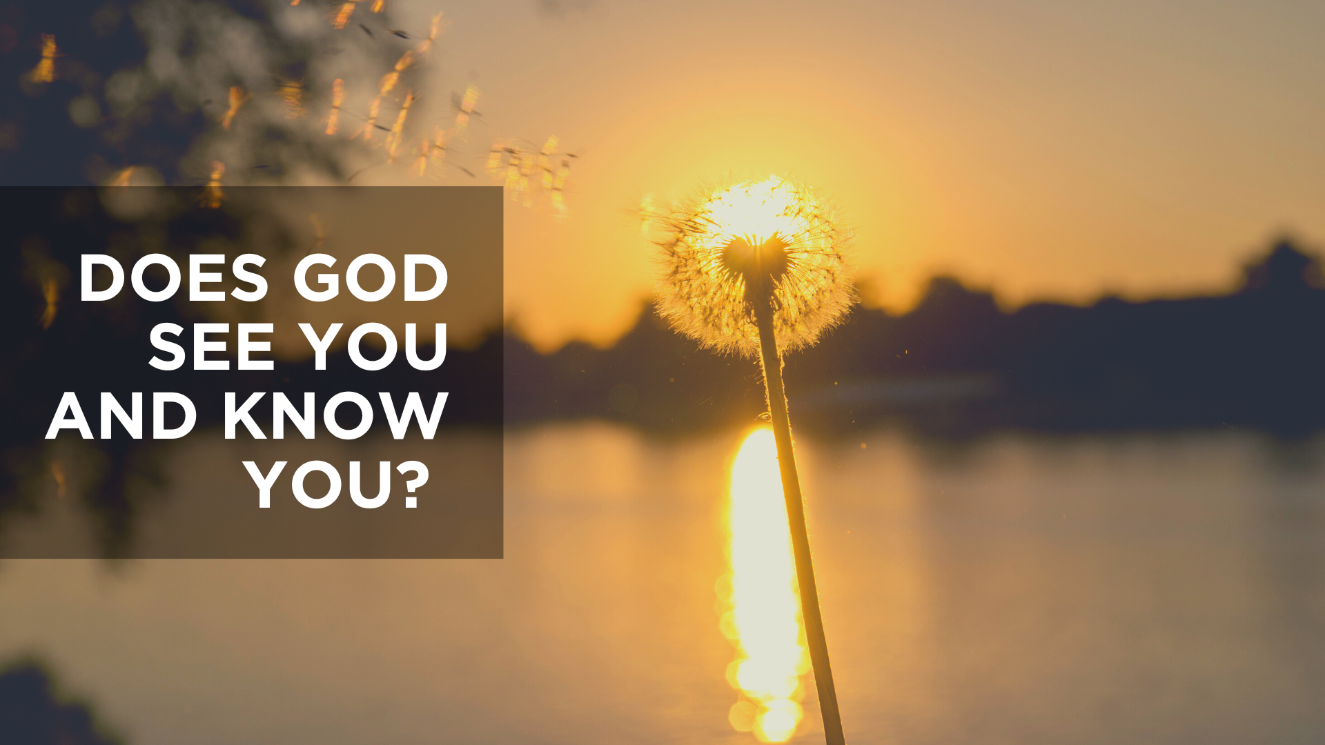 Does God See You and Know You?
