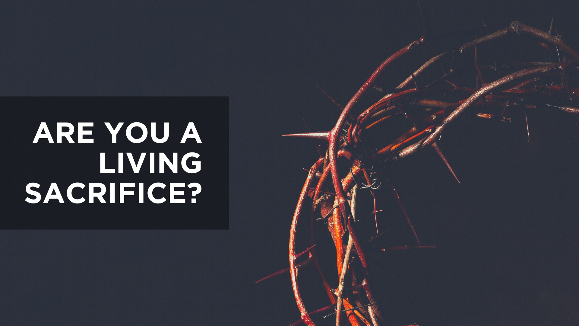 Are You A Living Sacrifice?