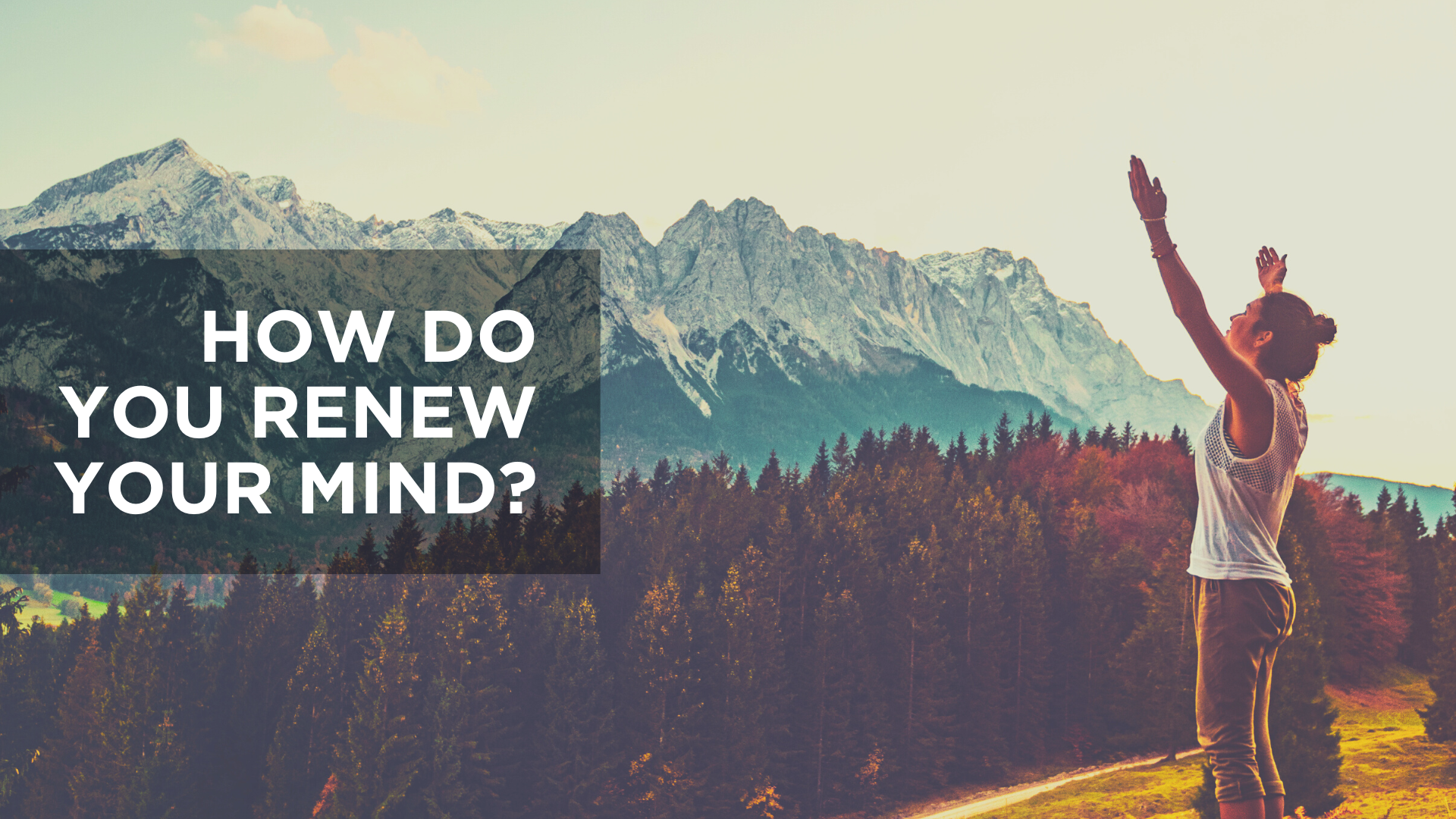 How Do You Renew Your Mind?