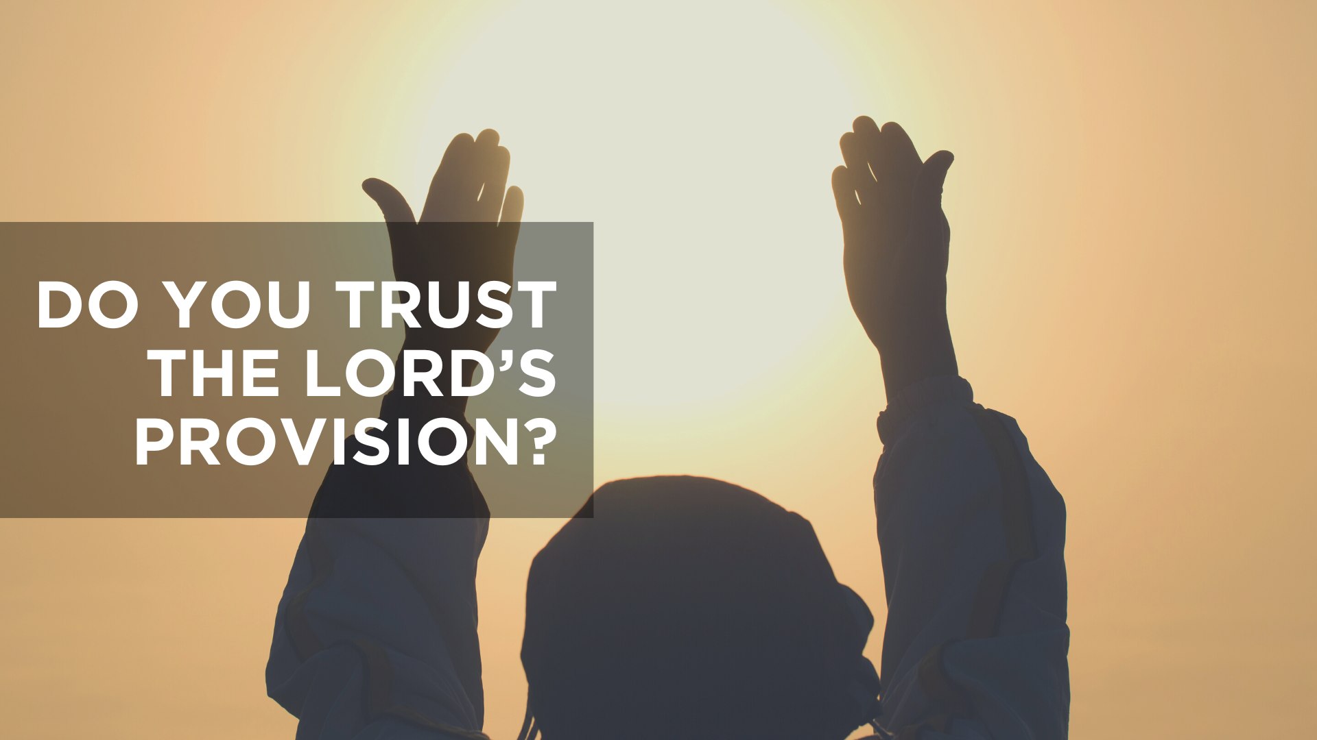 Do  You Trust the Lord's Provision?