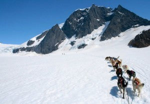 dog-sledding-in-juneau