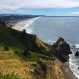 Breathtaking view of the Oregon coastline, featuring lush green cliffside slopes, a sweeping sandy beach, azure ocean waves, and a distant coastal town nestled between hills under a partly cloudy sky