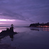 A serene dusk scene at the Oregon coast, showcasing a tranquil water reflection with a lone tree on a rocky outcrop, under a lavender-hued sky, complemented by distant lights from a coastal town.