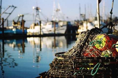 Boats in Port in Newport Oregon