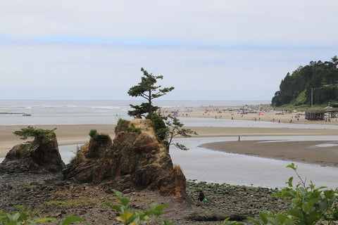 Four Brothers Rocks Lincoln City