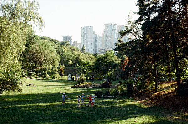 Local Park