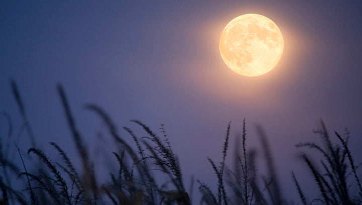 Full Corn Moon