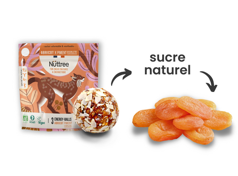 Natural sugar (dried apricots) from Nüttree energy balls