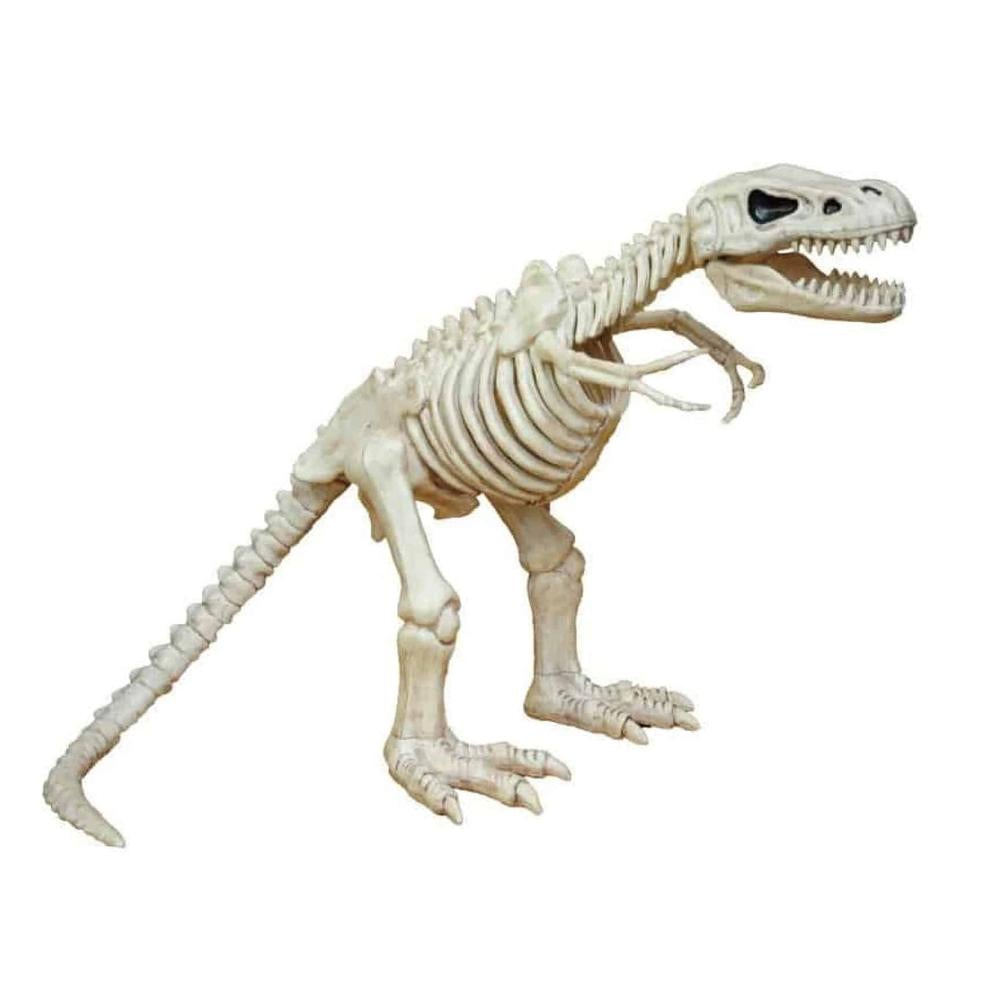 T-Rex Skeleton Prop-HALLOWEEN found