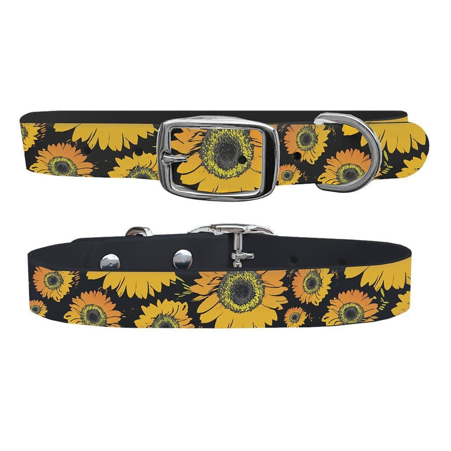 dog collar belt