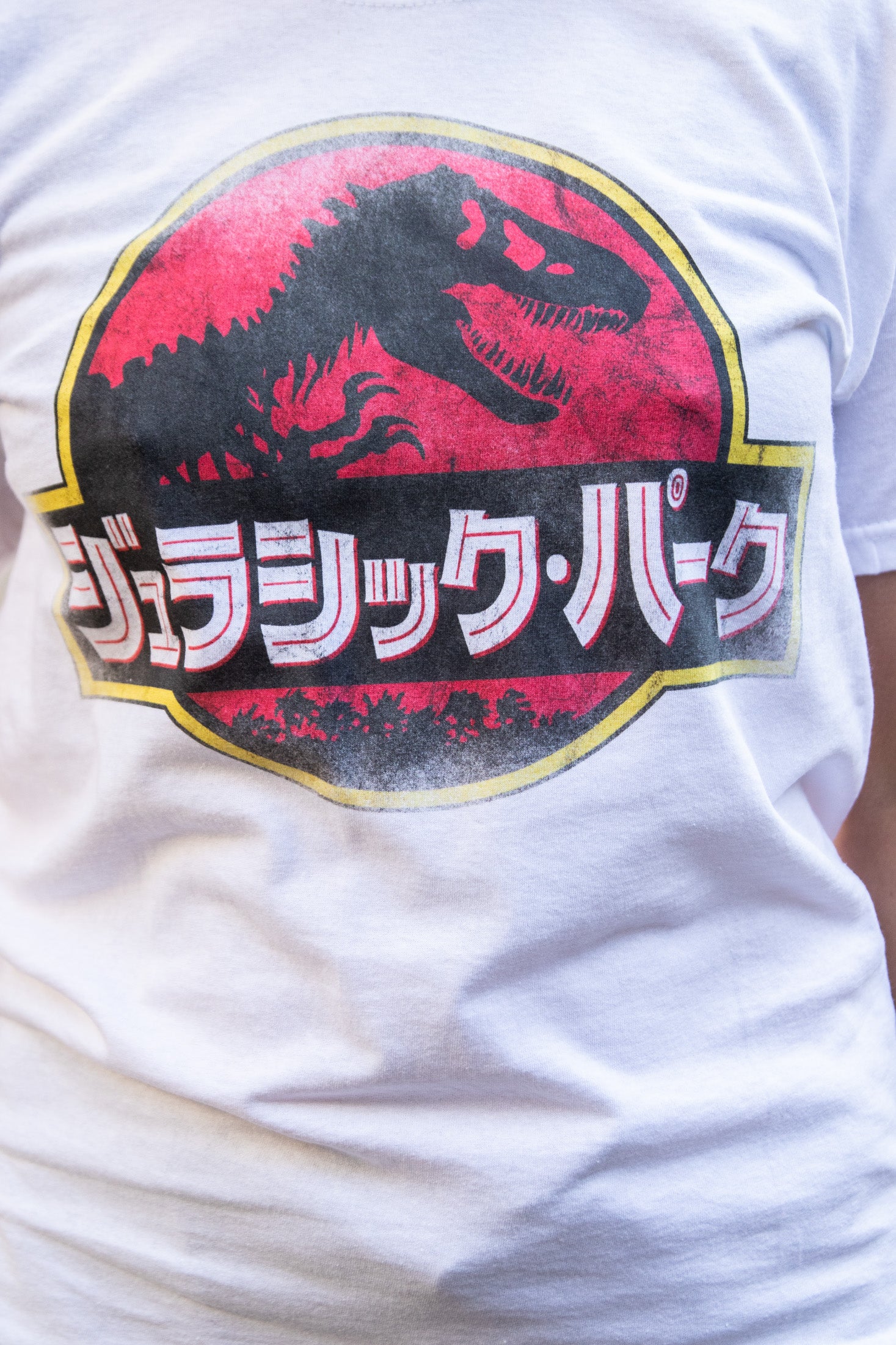 Daisy Street Relaxed T-Shirt with Jurassic Park Print