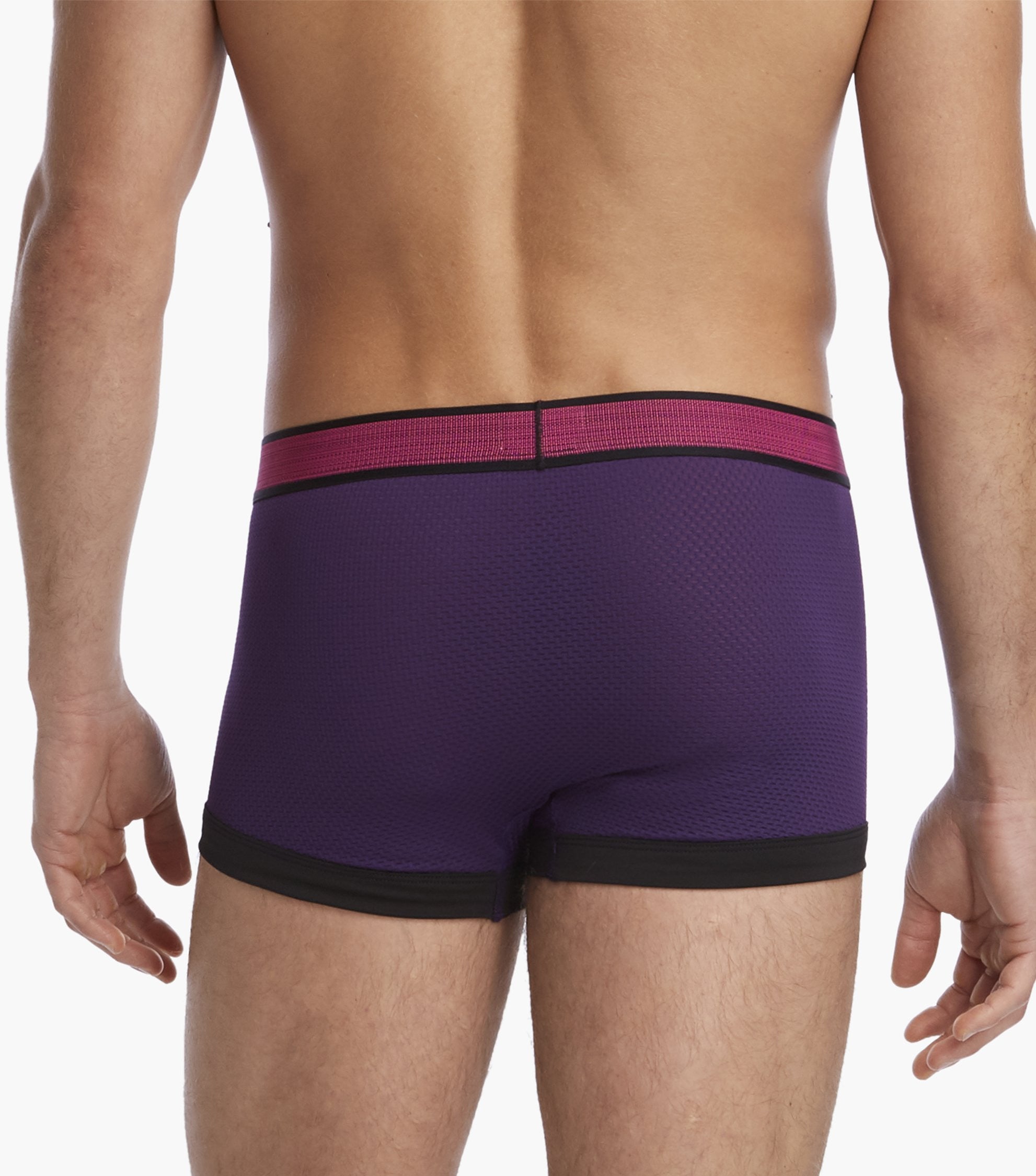 2(X)IST Purple Textured Sport No-Show Trunk