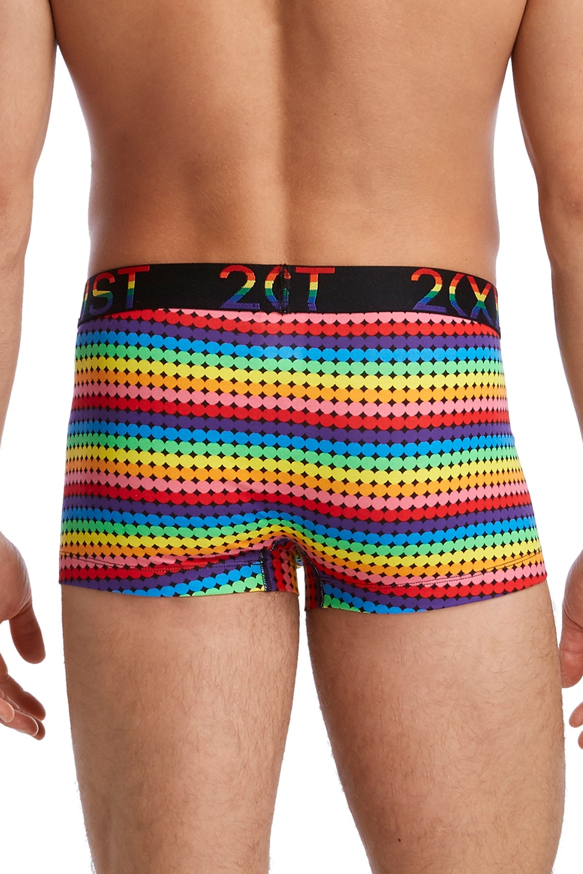 2(X)IST Retro Geo Pride Cotton Stretch No-Show Trunk