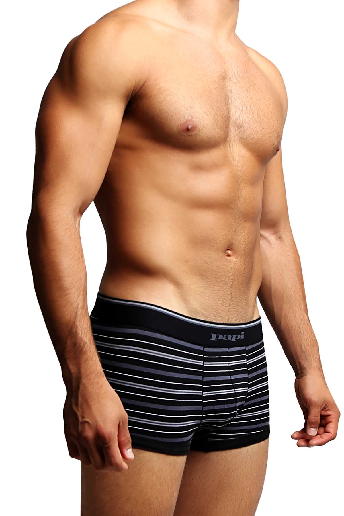 2-Pack Papi Grey Stripes Stretch Brazilian Trunks