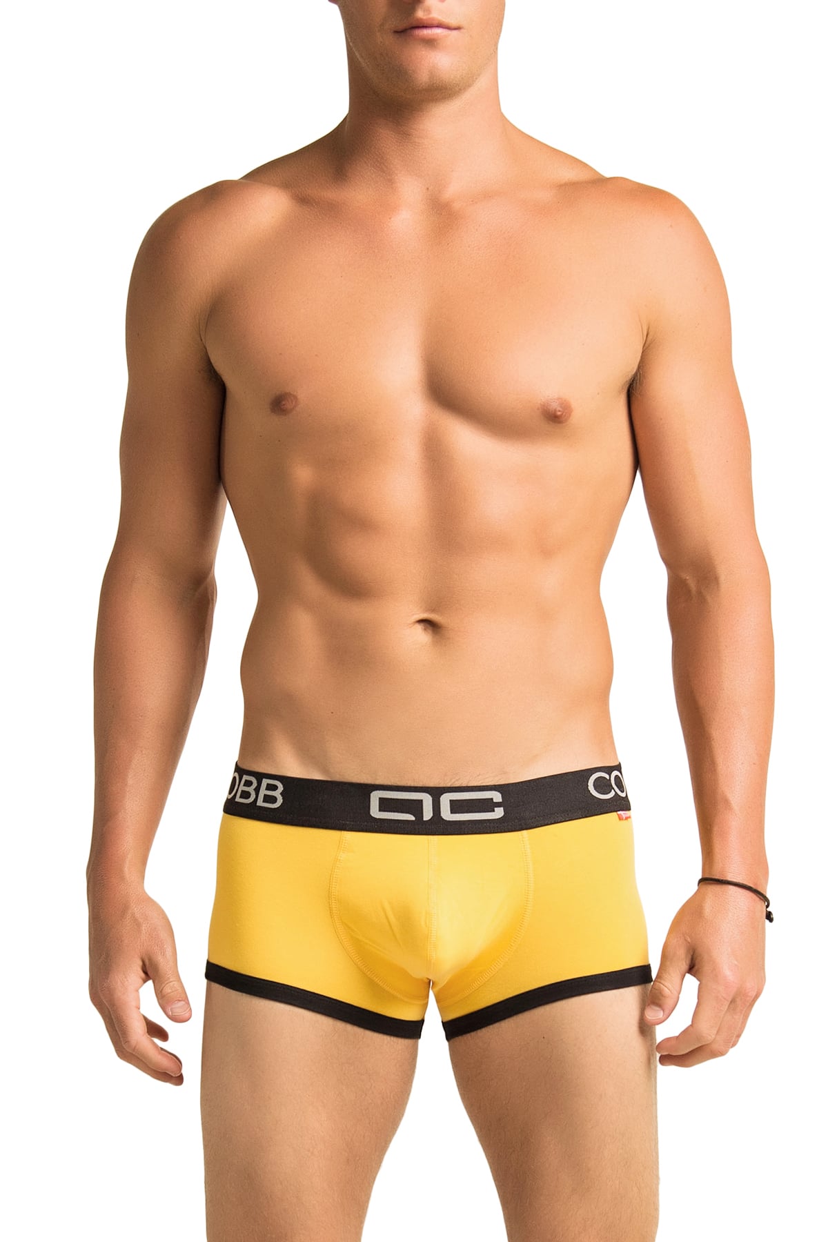 Alexander Cobb Yellow River Trunk