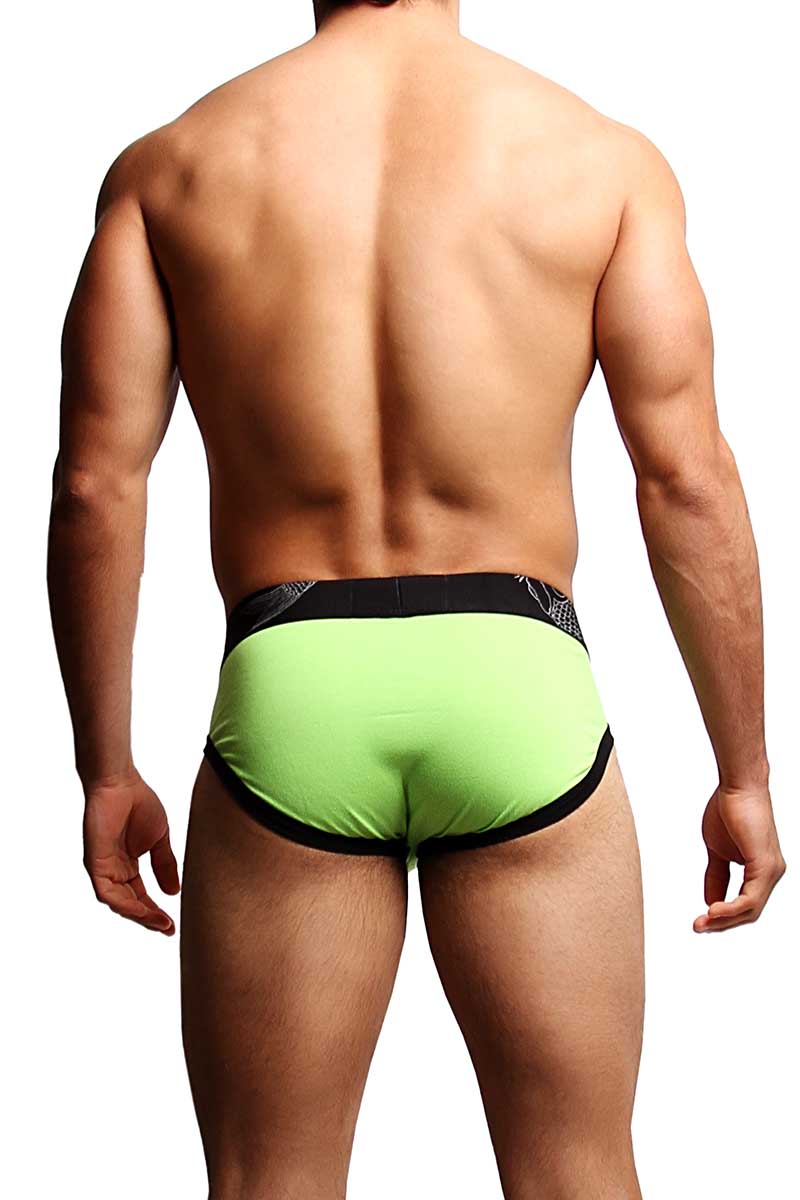 Alexander Cobb Green & Black Slip Brief