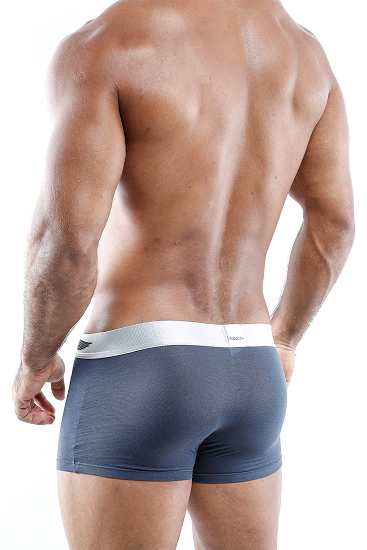 Agacio Lightweight Maximum Comfort Trunk in Grey