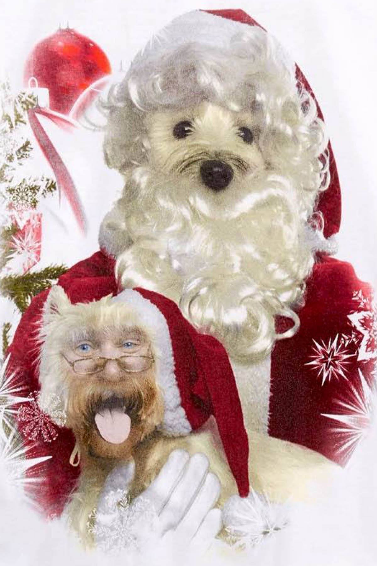 American Rag White Santa/Dog Face-Swap Sweatshirt