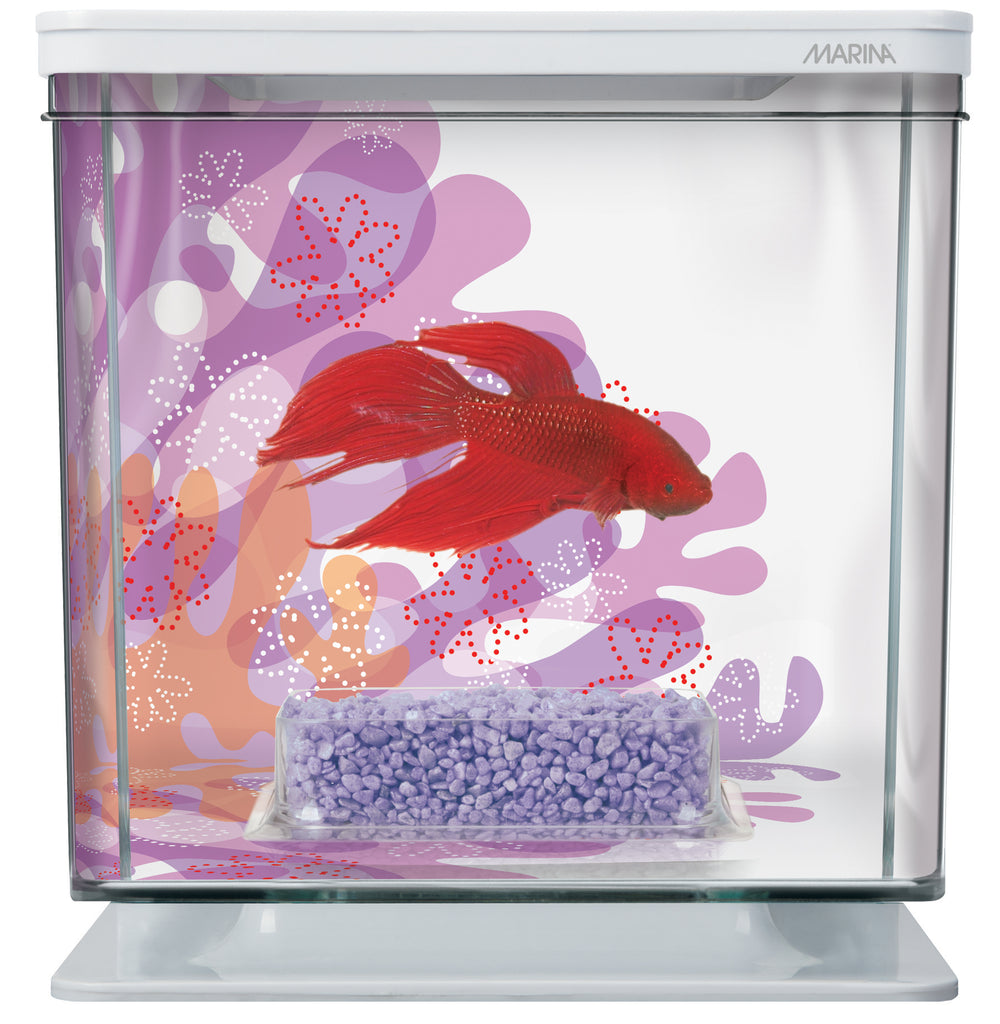 Liter art ru. Hagen Marina Betta Kit Sun Swirl 2л. Аквариум для петушка. Мини аквариум для петушка. Белые аквариумы для петушков.