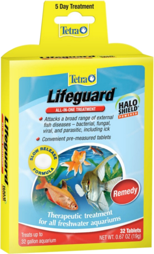 tetra lifeguard