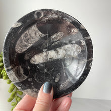  goniatite ammonite fossil stone bowl