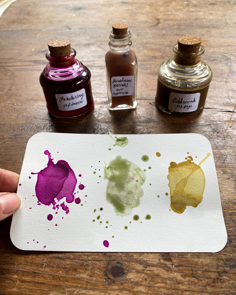 handmade ink from foraged plants – purple, green, and yellow