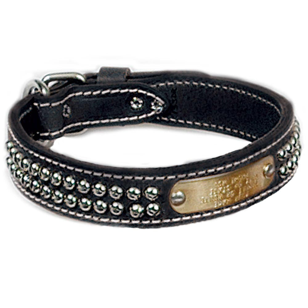 studded leather dog collars