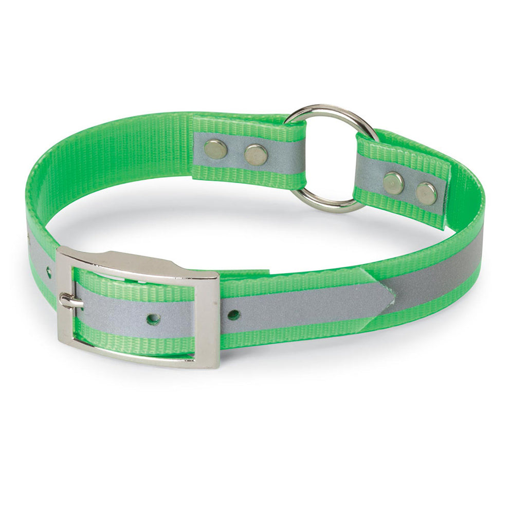 Nite Lite 1” DayGlo Dog Collars with Reflective Strip — Huntsmart