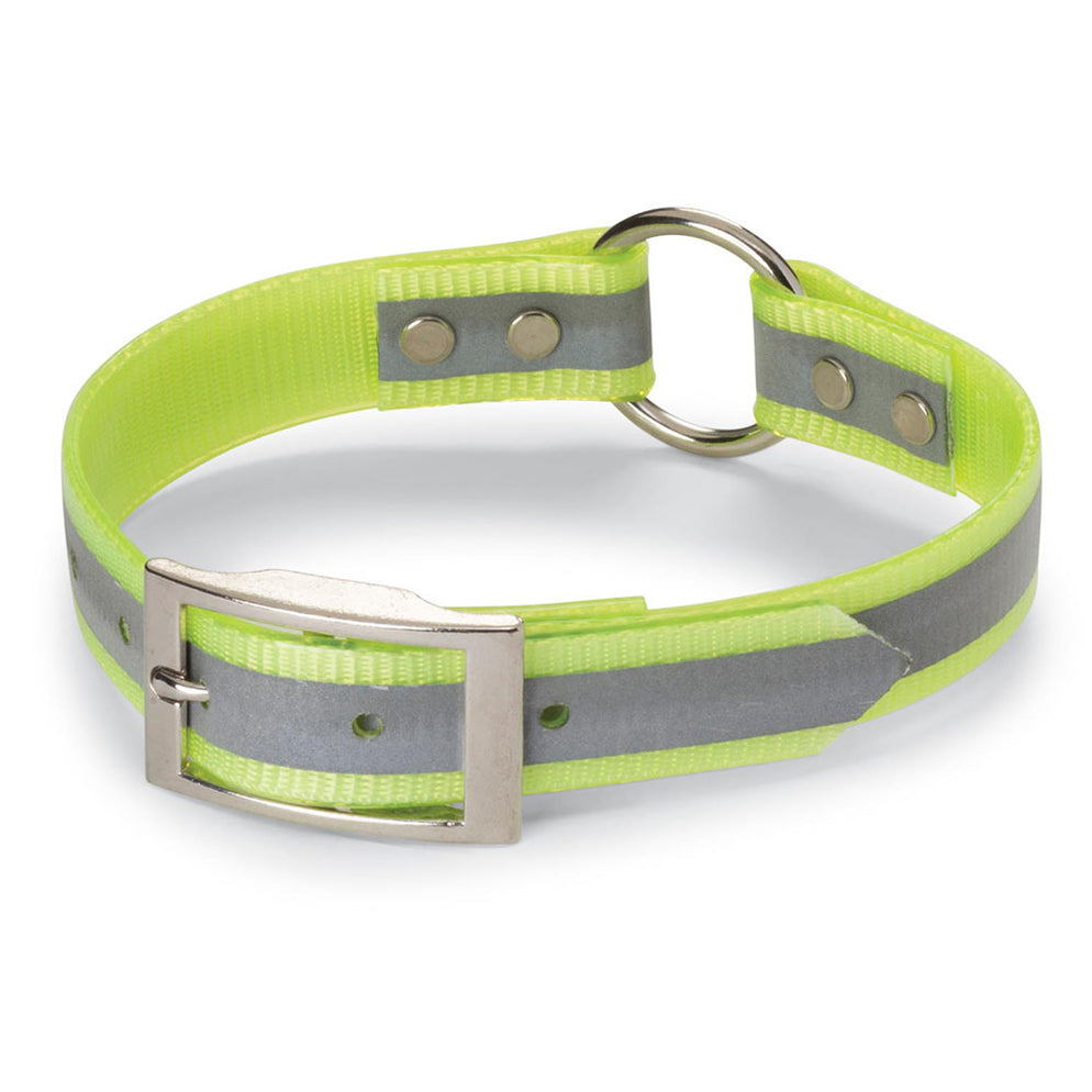 Nite Lite 1” DayGlo Dog Collars with Reflective Strip — Huntsmart