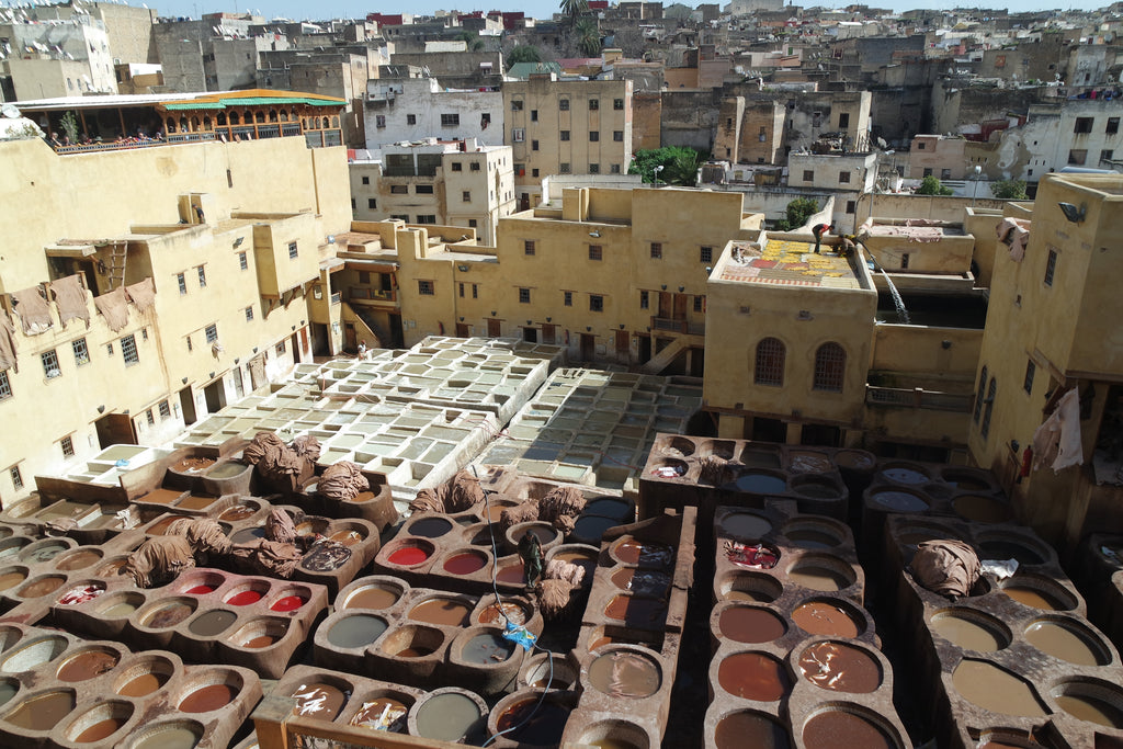 Tannery in Fez