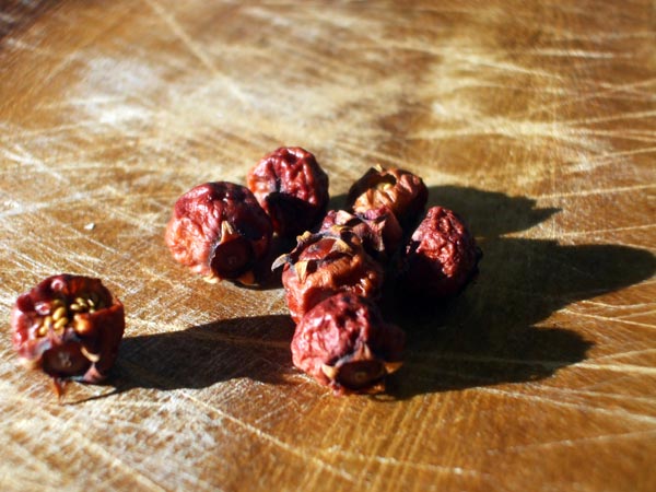 Dehydrated dried Chilean Guavas