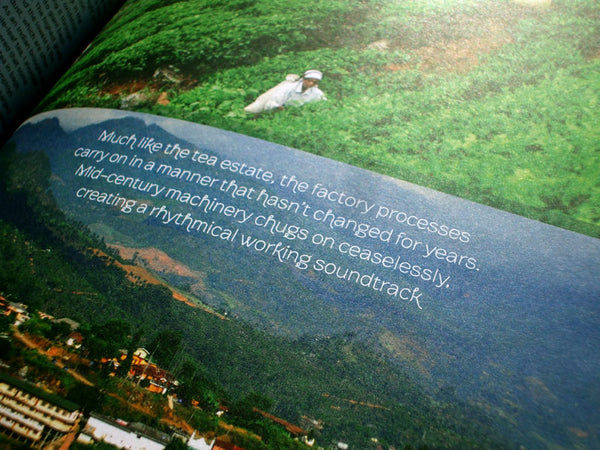 organic tea fields in good magazine