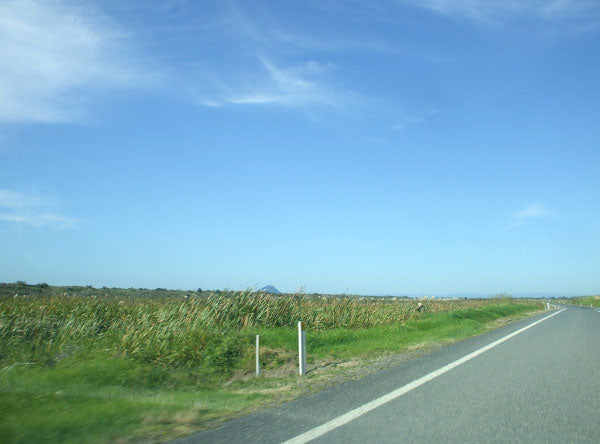 The road from Tauranga to Opotiki