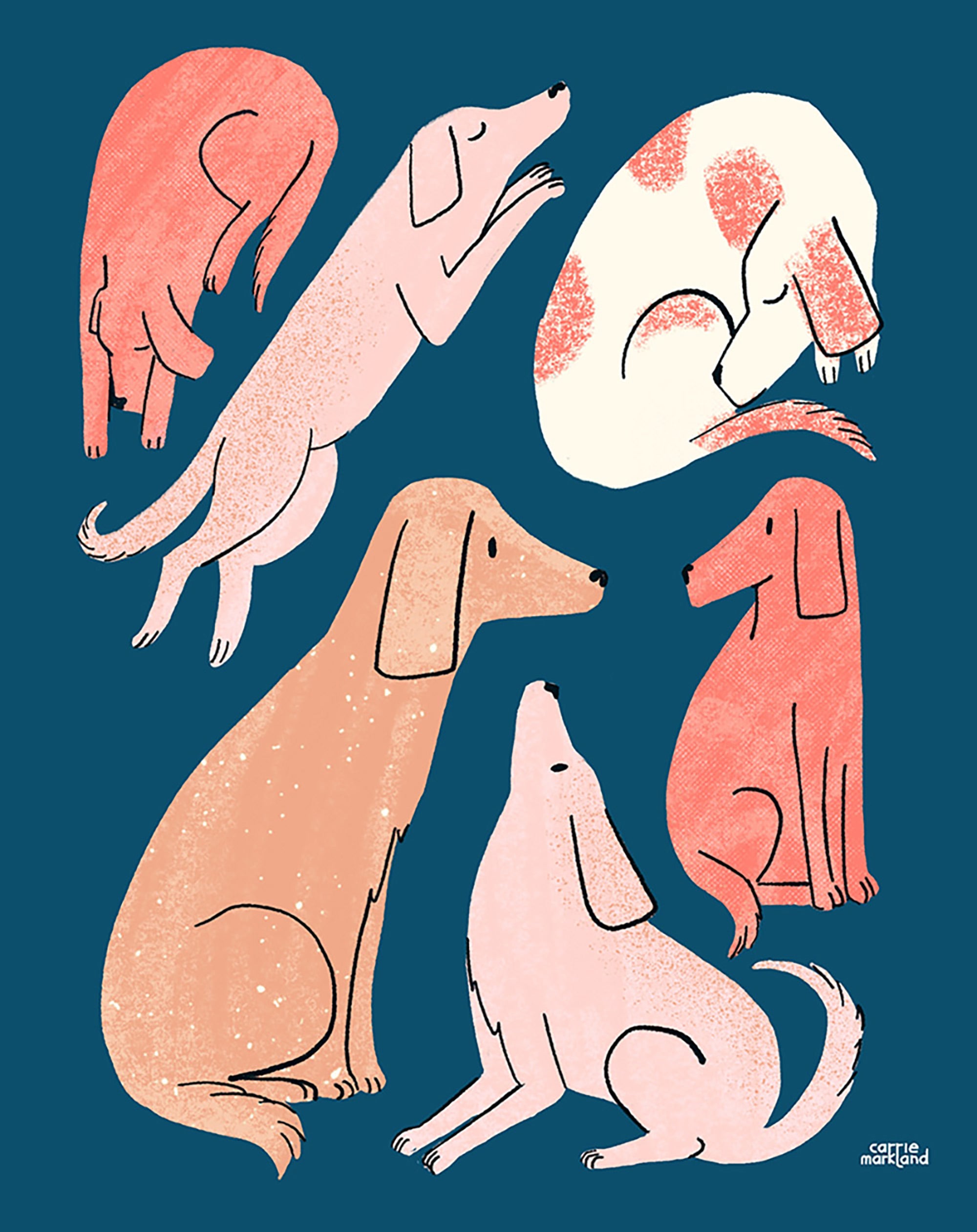 Carrie Markland Dog Illustration