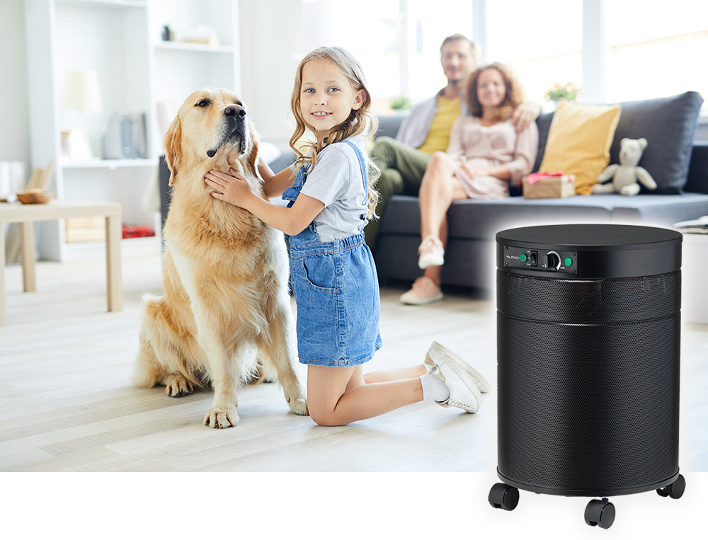 Airpura H600 Best Air Purifier for Allergies and Asthma