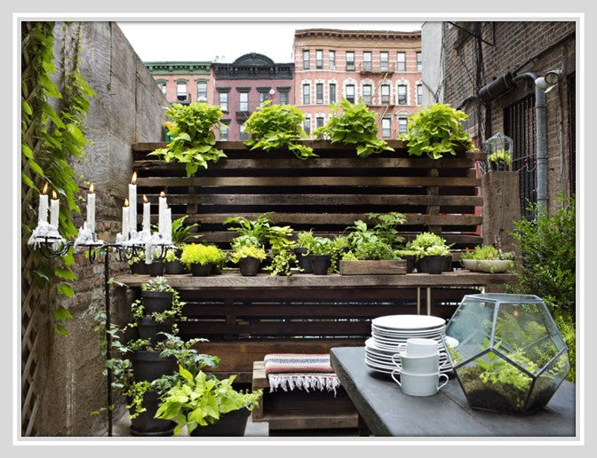 Outdoor area with greenery.