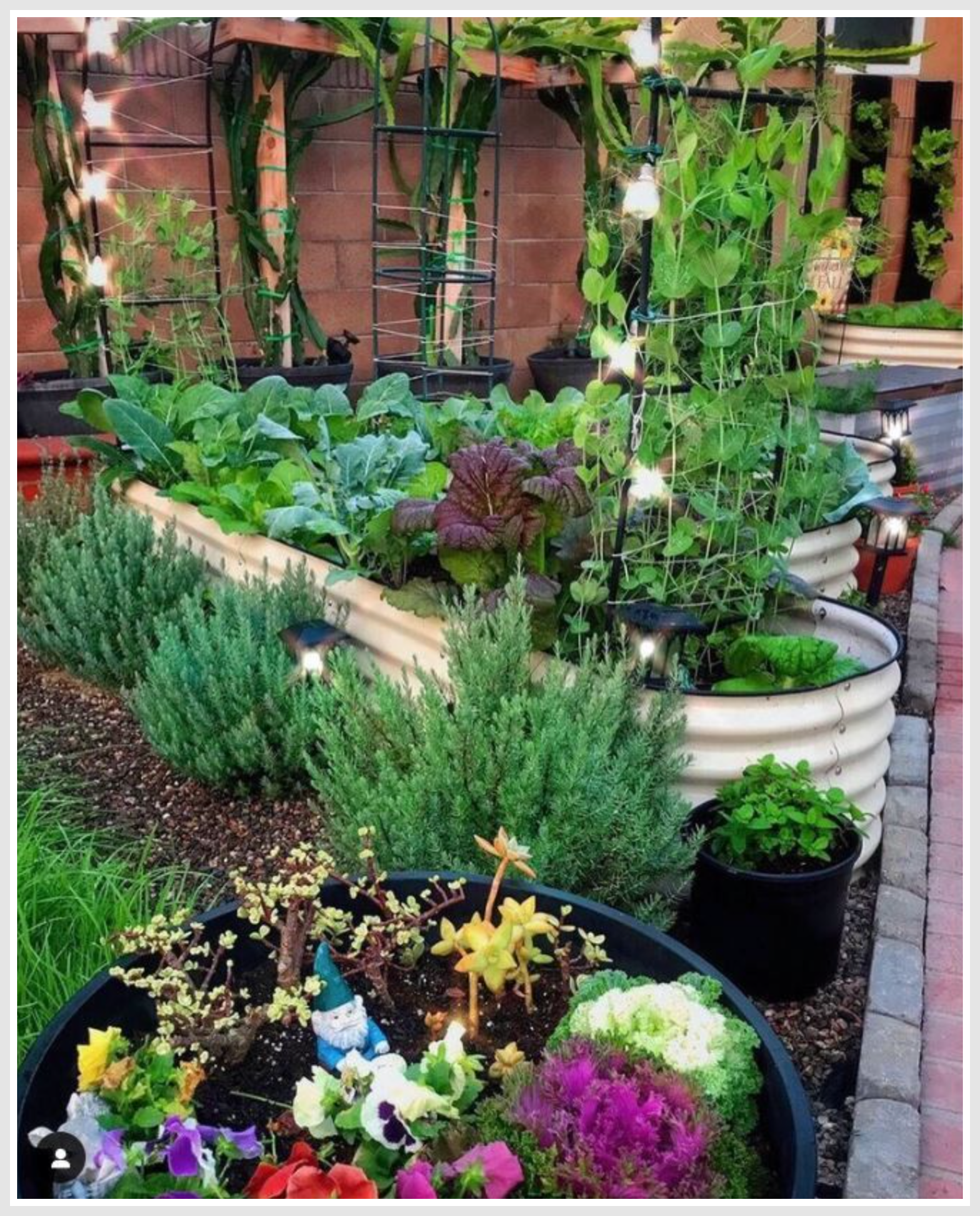 Outdoor garden with flowers and greenery.