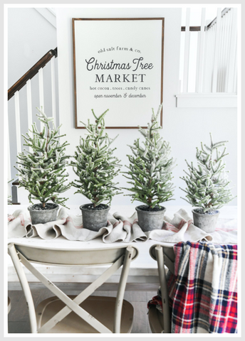 A table decorated with 4 small Christmas trees.