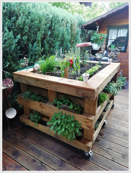 Flowerbed made out of wooden pallets, standing outside, full of greenery.